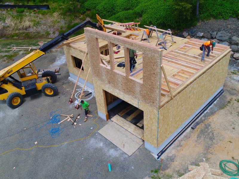 Aerial View Young House
